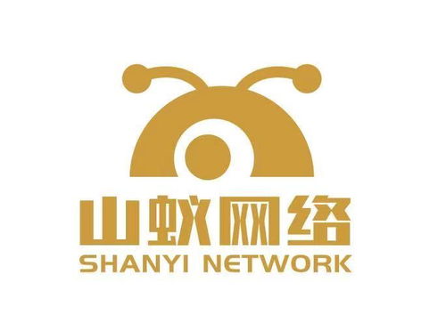 四川山蟻網(wǎng)絡科技